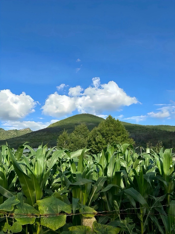 又绿了跟我截图有啥关系？你要怪就怪苹果手机。 