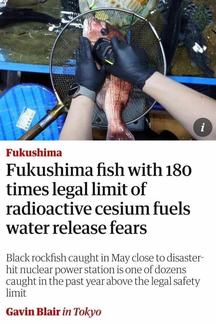 “福岛鱼含放射性铯超标180倍，加剧排放核污水担忧”
一条于今年5月在遭灾核电站