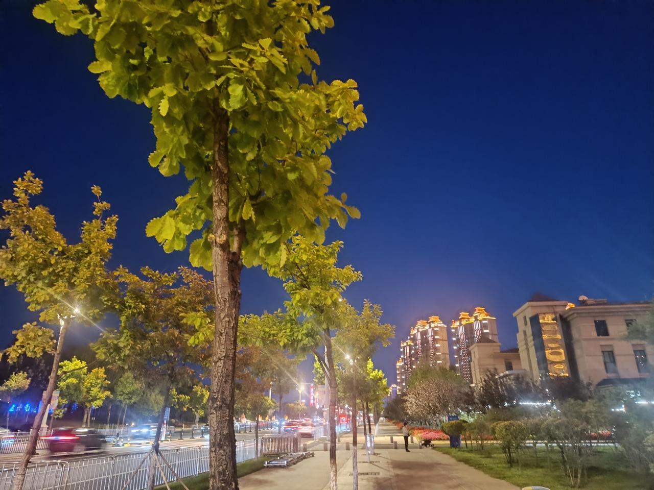 秋日随手拍漫步友谊西路，夜色渐浓。街灯映着初染秋色的树叶，高楼流光璀璨。喧嚣与晚
