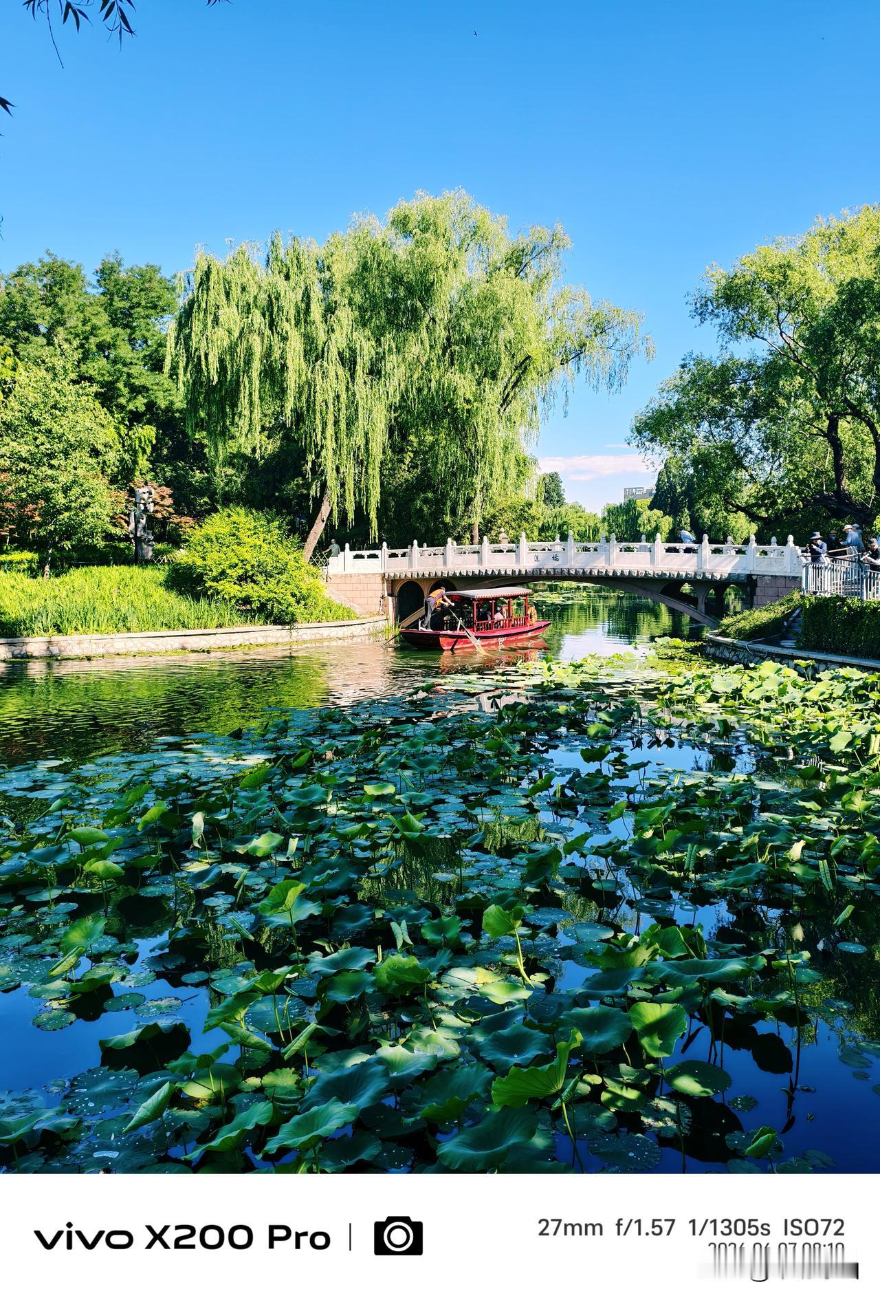 六月的北京，进入盛夏的季节，游紫竹院公园，绿树成荫，花红柳绿，一派生机勃勃，郁郁