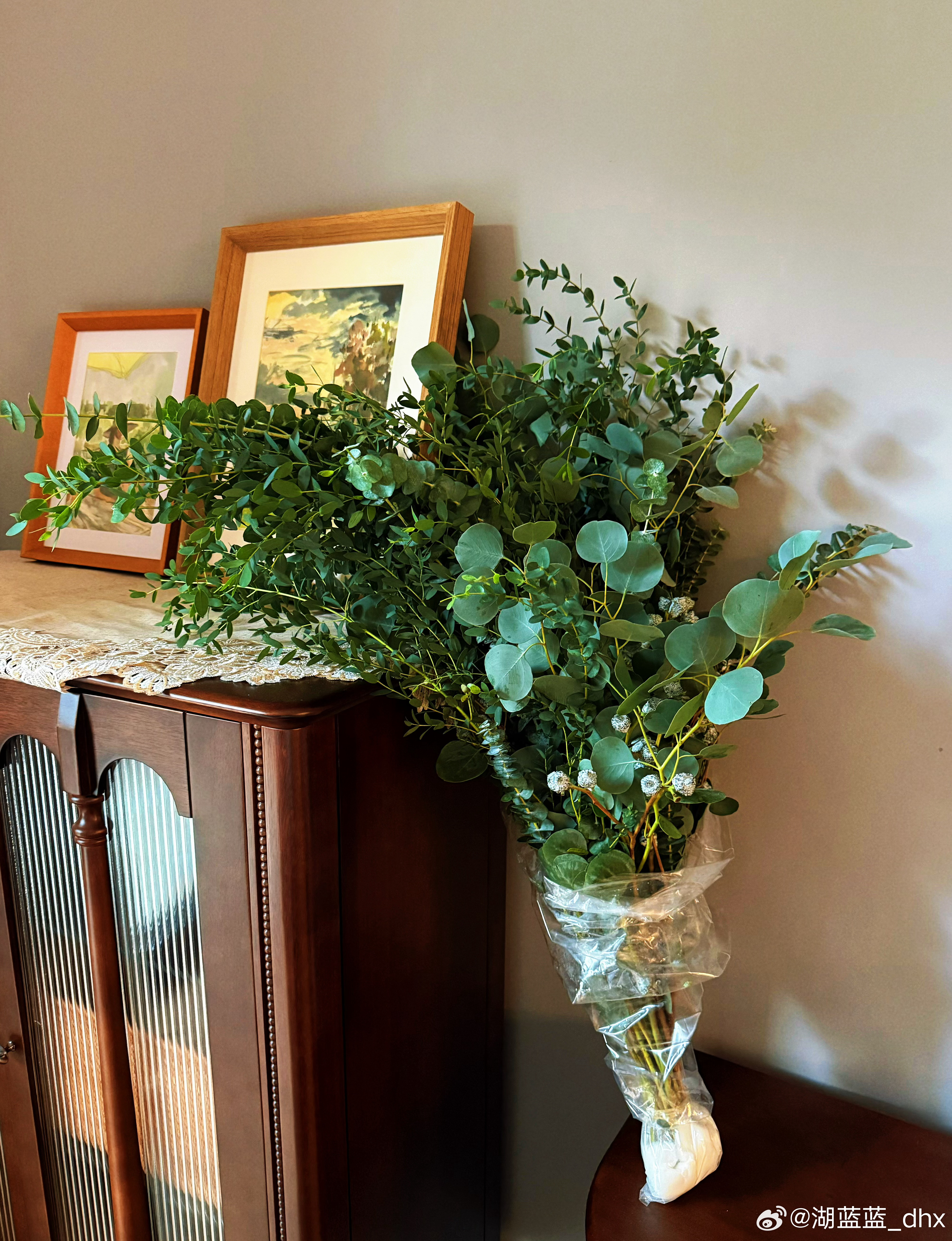 上海发来的一大束尤加利叶果 好新鲜 好漂亮 喜欢明天花瓶到货 就可以插起来了 
