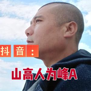 老马从心开始
