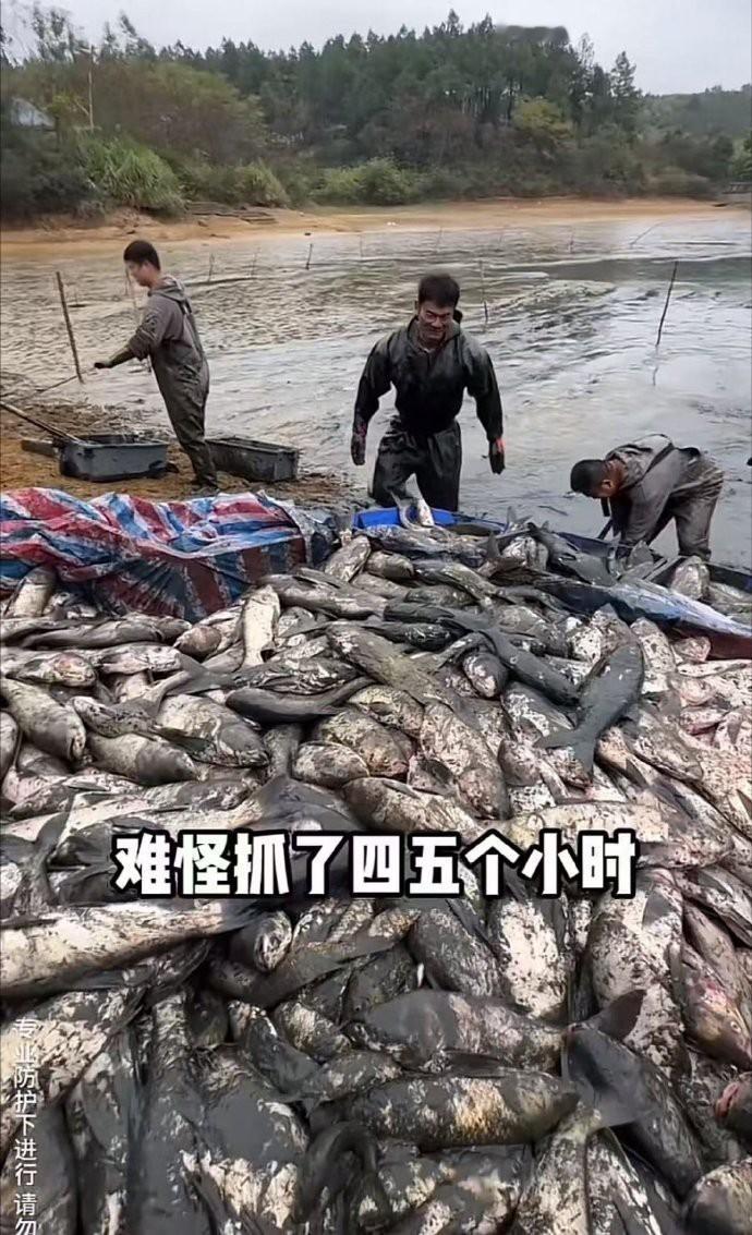 2025年夏天，湖南衡阳一个偏僻村庄里，19岁的小段颤抖着发出了一条私信。正是这