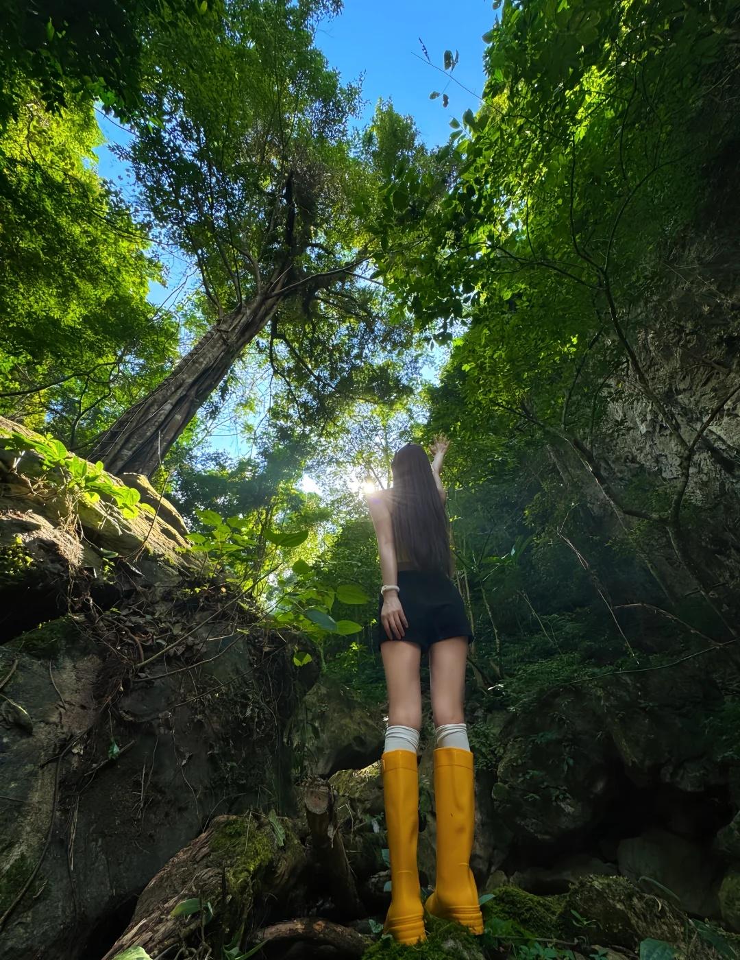 ♥️闯入绿境🌳，把呼吸交给雨林
西双版纳  |  人生清单—去雨林当野人越接近