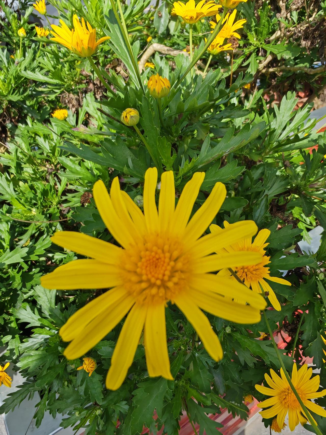 不知道为什么？

我们家的孩子，他出去不喜欢我们老问，但是我们出去，如果你不随时