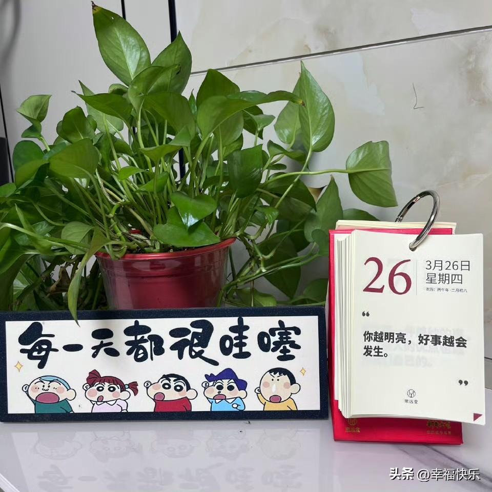 2026.03.26
健康，快乐