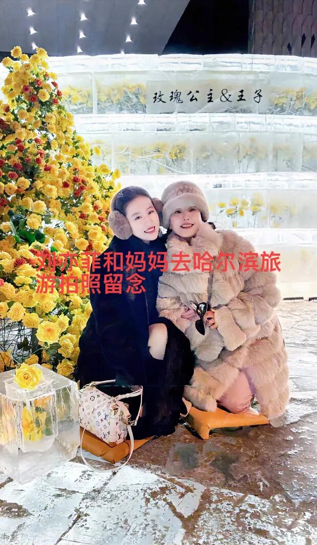 刘亦菲的妈妈比刘亦菲幸福！因为她妈妈有一个美丽、优秀的女儿，看过一期节目，刘亦菲