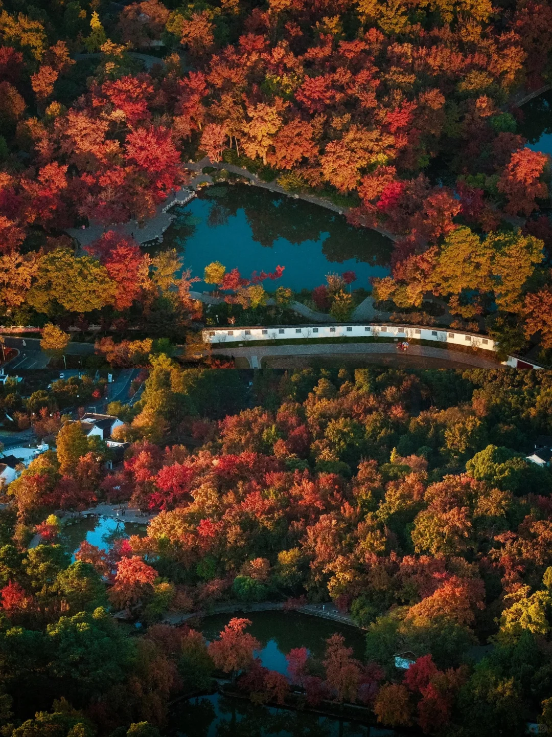苏州赏秋天花板🍁苏州天平山赏秋全攻略！