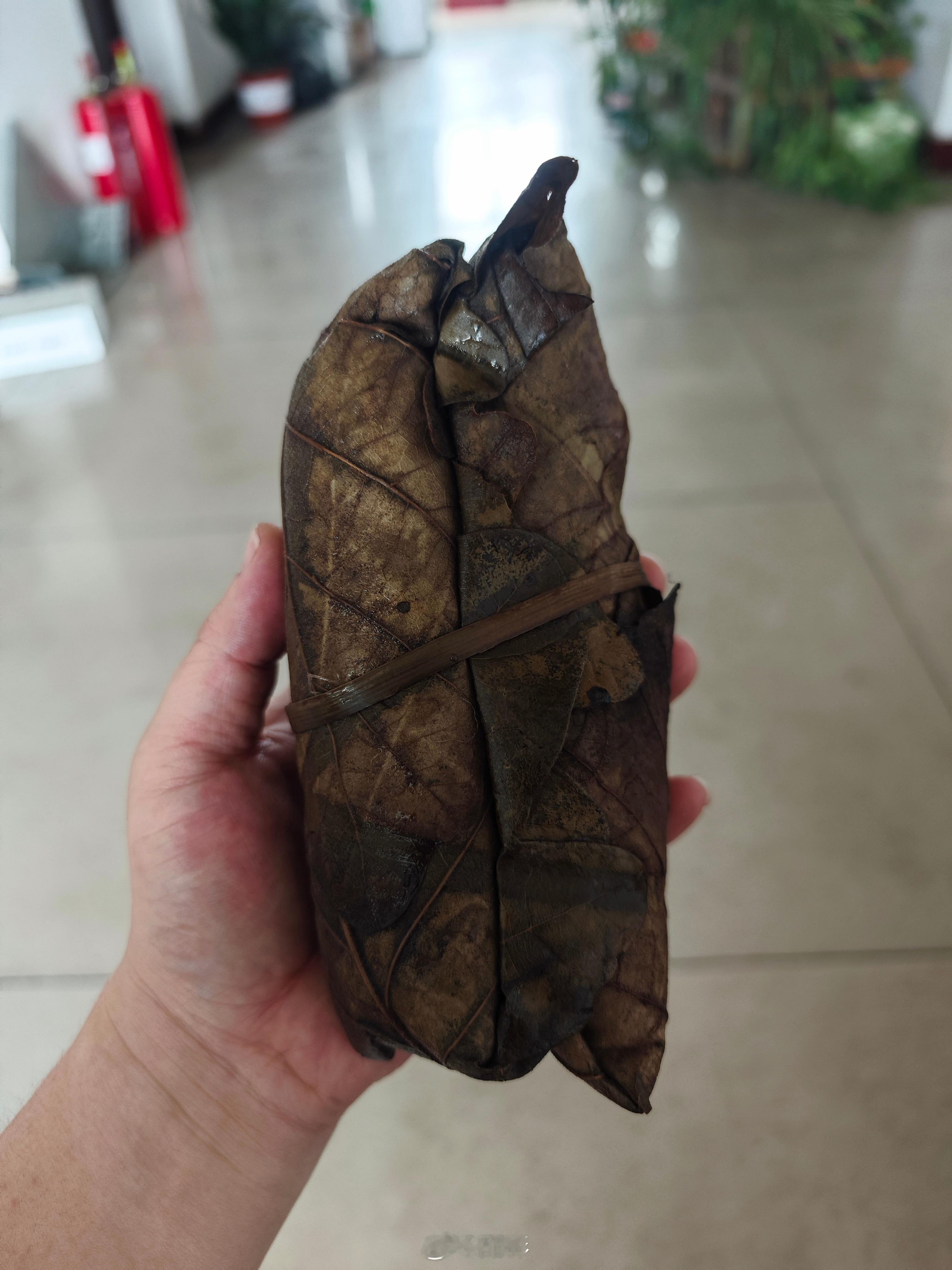 临沂 同事大姐给的莒南桲椤叶粽子，还是肉粽好人一生平安 