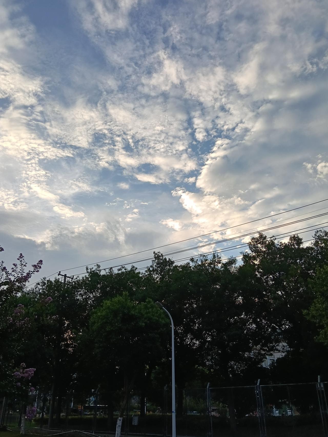 树下绿植郁郁葱葱，紫薇花缀着淡紫花苞，电线横亘林间，勾勒出小城安静闲适的轮廓。没