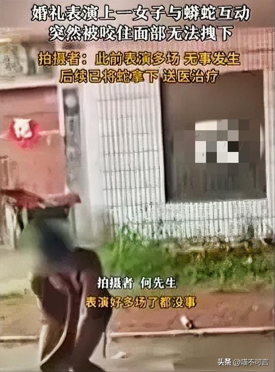 河南商丘一场婚礼直接演成“惊悚片”！新娘子请的美女表演者，要跟蟒蛇玩“亲嘴”，结