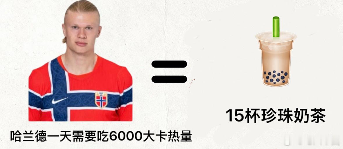 当你对哈宝饭量没有概念时非正经观战世界杯