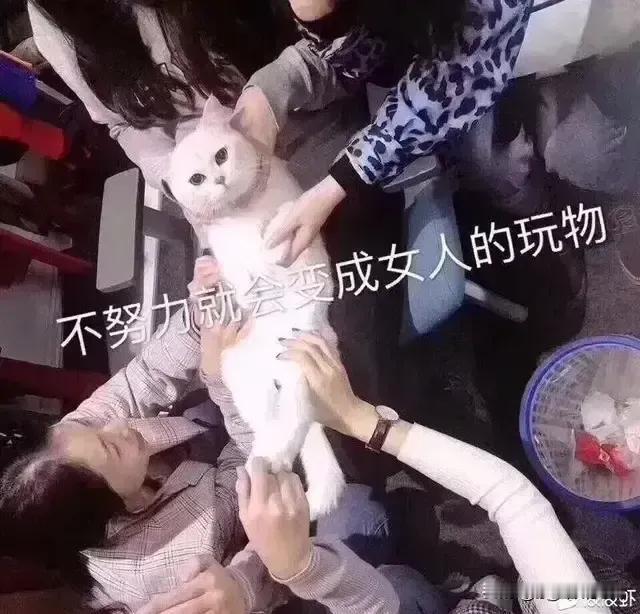 以前有女友，一月吃饭3000，现在单身，一星期请哥们儿下一次馆子，做一次足疗