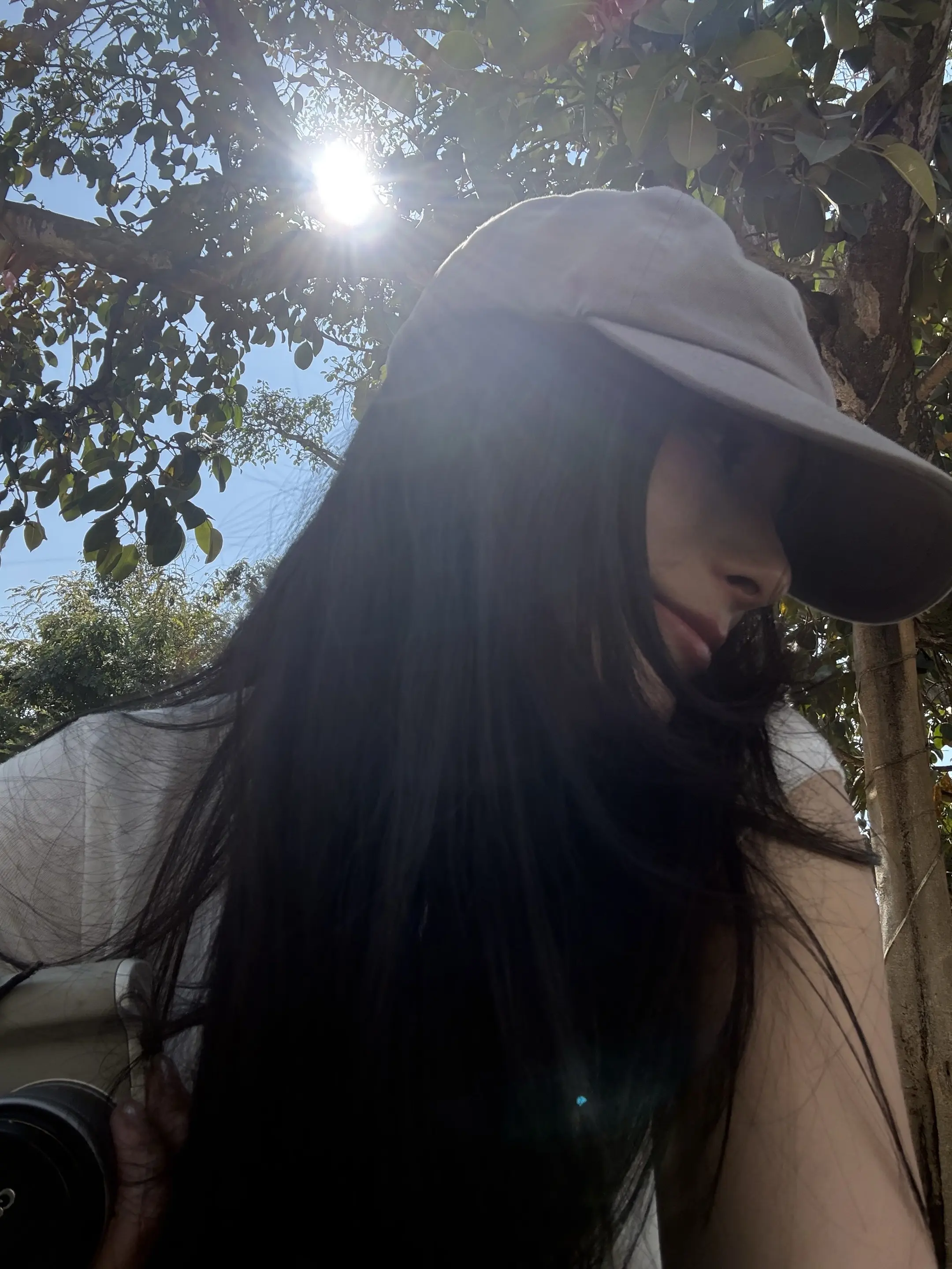 是与云南保山昌宁傣族村寨大泺部树龄为1162年的高山榕树合影