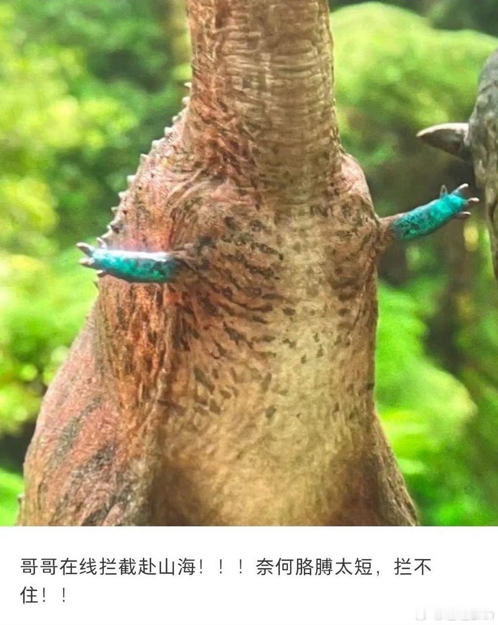 哈哈哈哈哈哈哈哈哈哈哈 ​​​
