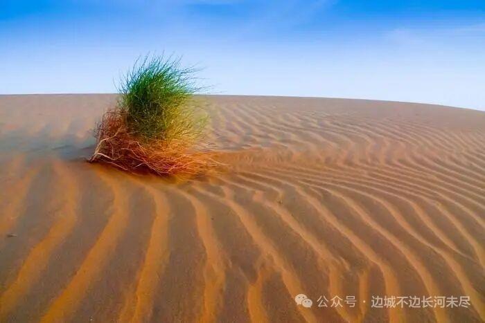 分享一张随手拍的美景