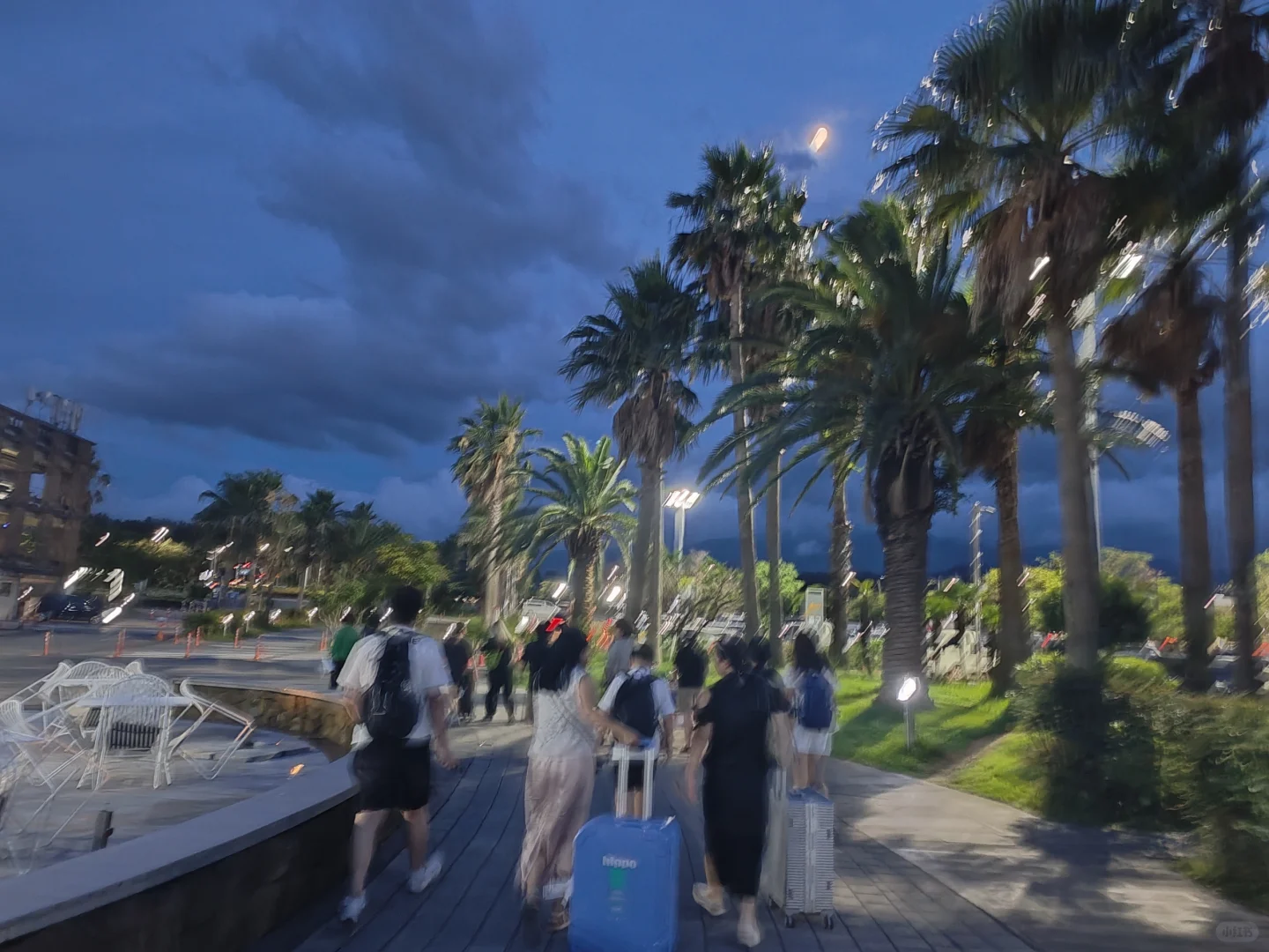 平安落地济州岛啦🌸
