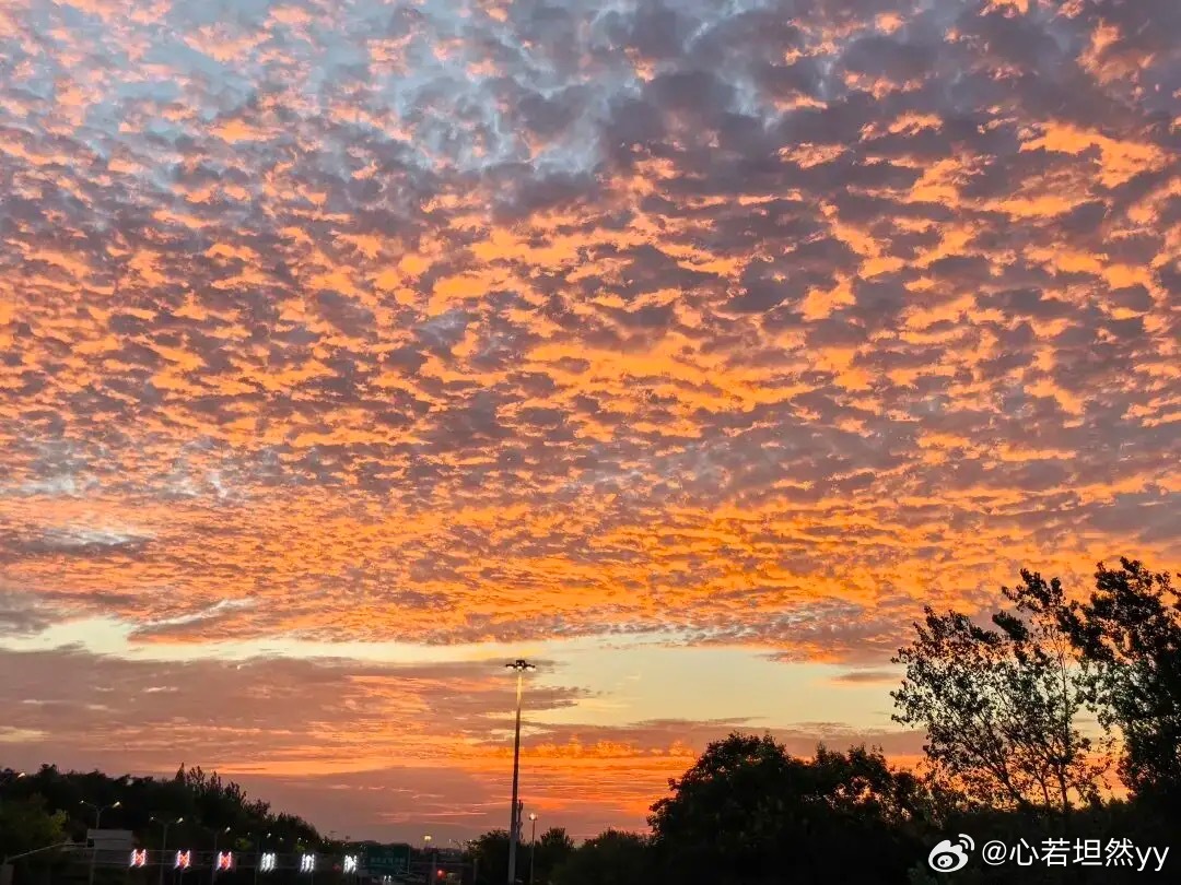 早安 昨天傍晚，漫天火烧云惊艳上海城市上空。落日余晖下，漫天云朵如鱼鳞般铺展，从