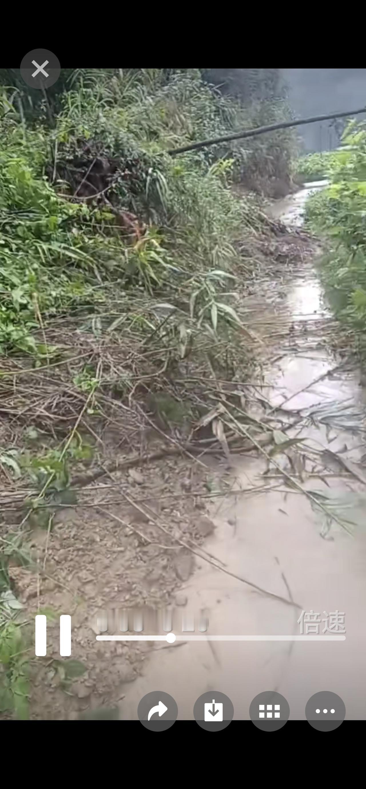 昨晚下了一夜的雨，那造村公路塌方严重，村民组织自救。
