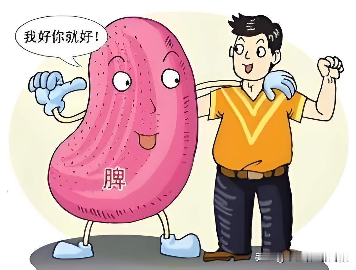 想要脾胃好，牢记这“6个少”！脾胃慢慢好
 
脾胃，可以运化食物和水湿，是气血生