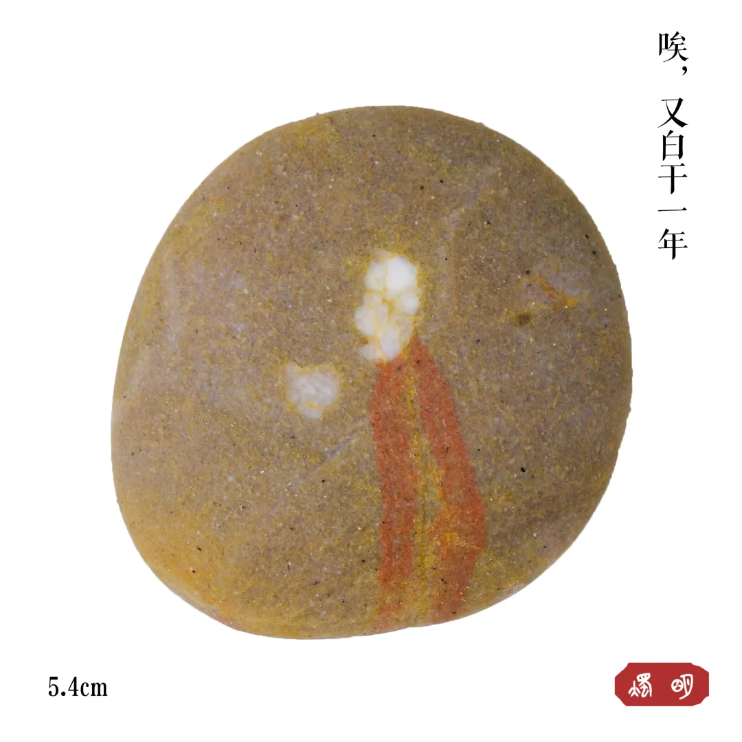 今天最佳收获，绝了！