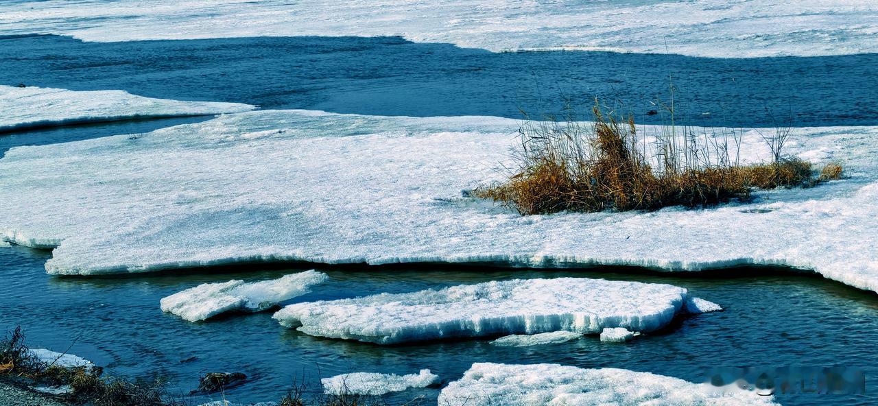 春日生活打卡季