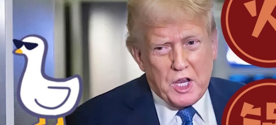 3500亿说停就停！美国精明止损，泽连斯基为啥不懂靠自己？




     家