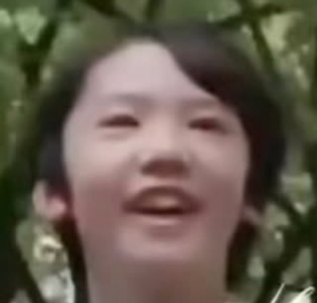 向世界注入猪能量好舒服 