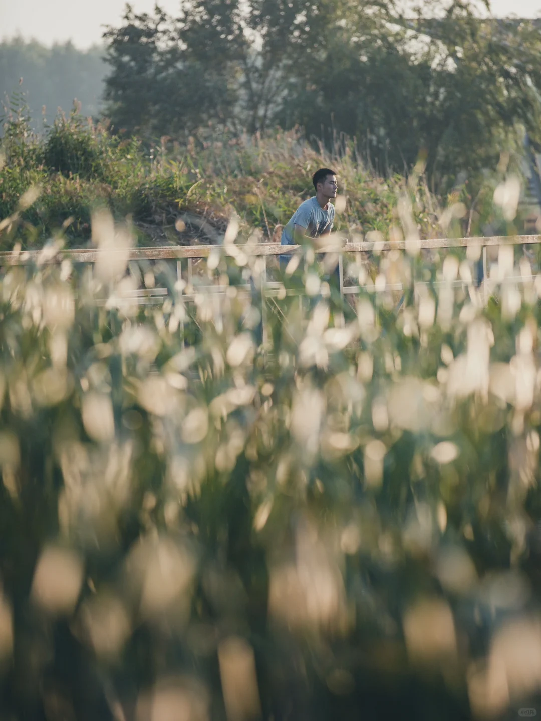 沙漠古城、草原湖泊 | 北京高铁0.5h即达