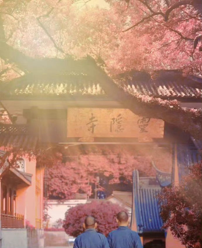 灵隐寺磁场很强   别滑走说什么都灵❗️运势