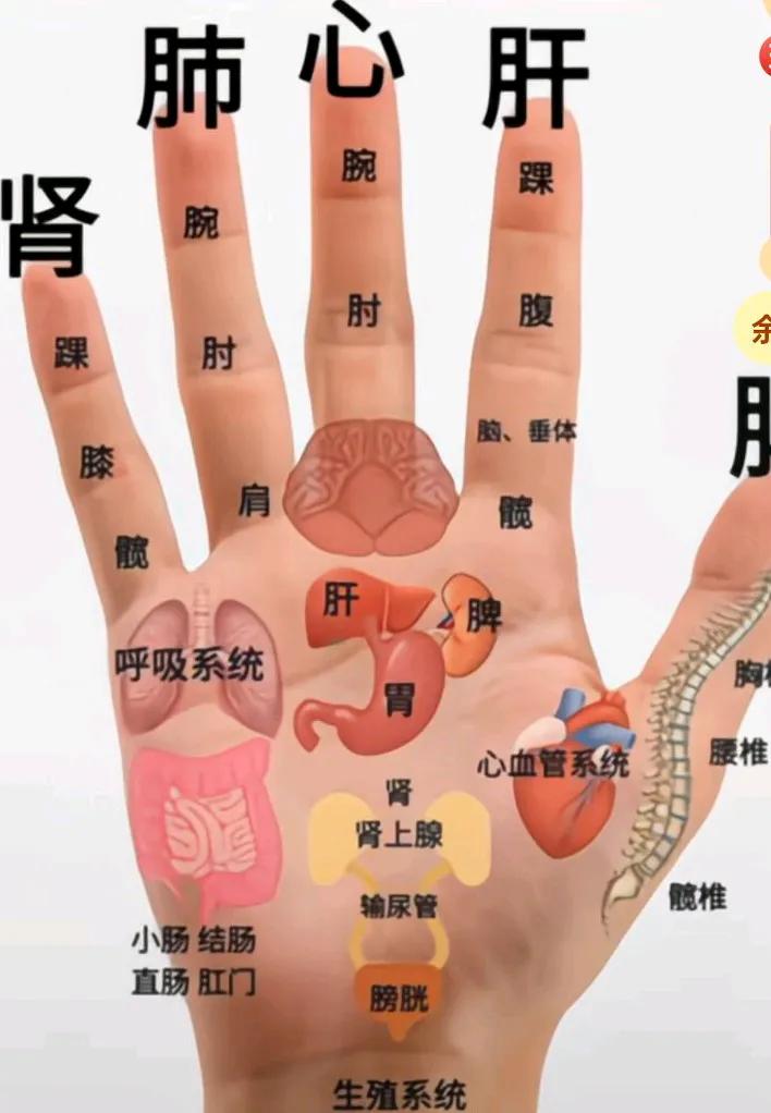 按摩手指对身体好，需要的拿图走。