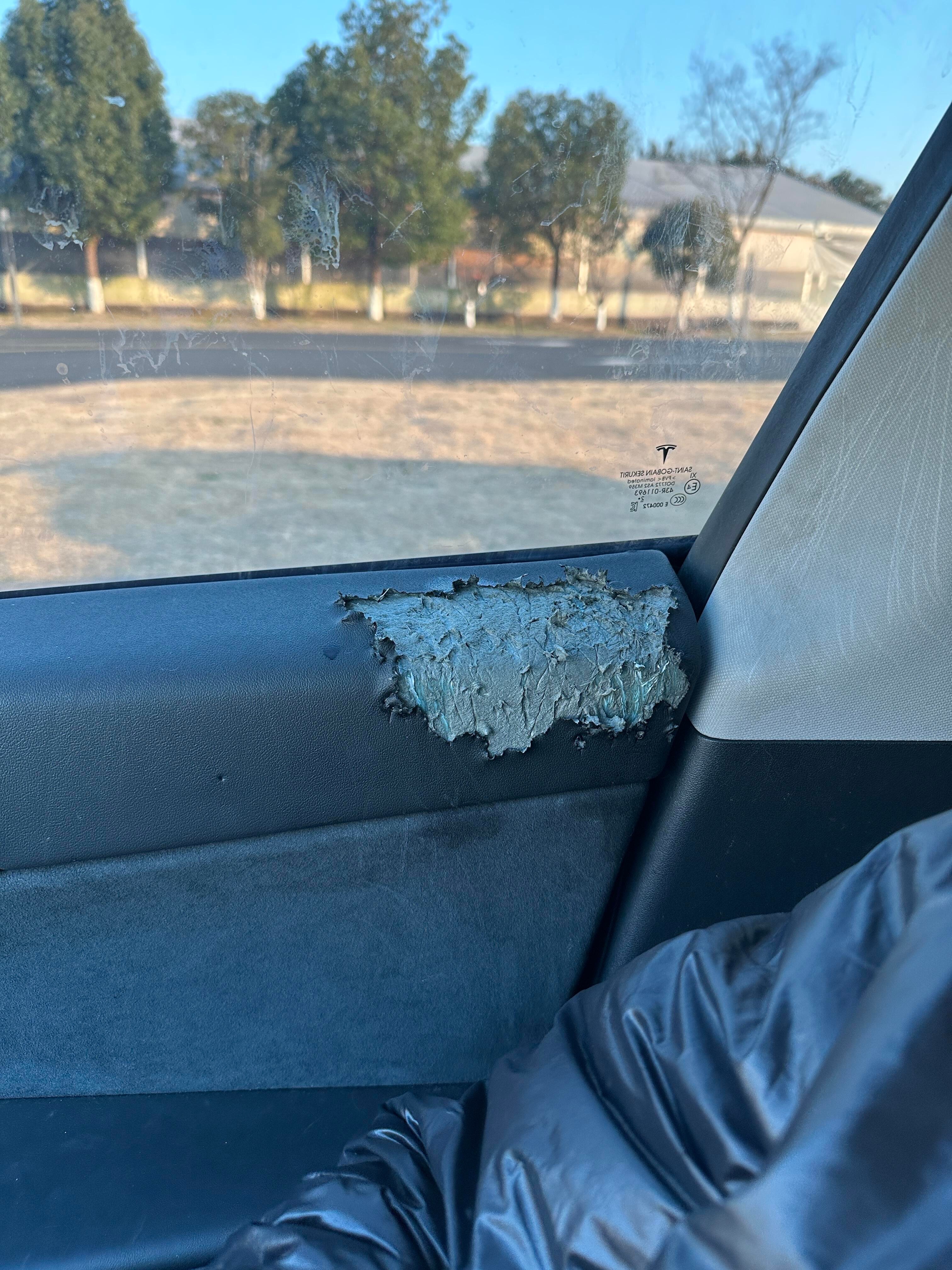 特斯拉的宠物模式只能放乖宝吧 