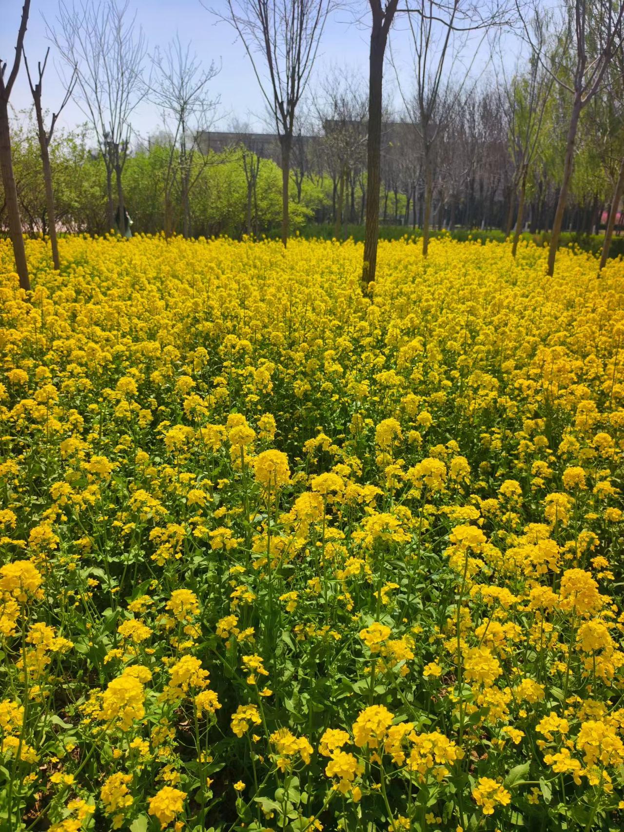 年轻的时候我不信命，

一直觉得自己的命运握在自己手里。

我拼命学习、熬夜，