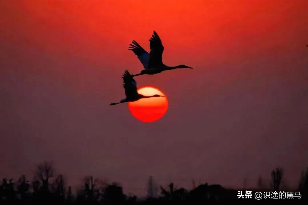 《岁月凝思》

文/范圣嘉
 
年少风华转瞬藏，
流年悄逝鬓添苍。
半生烟火皆尘