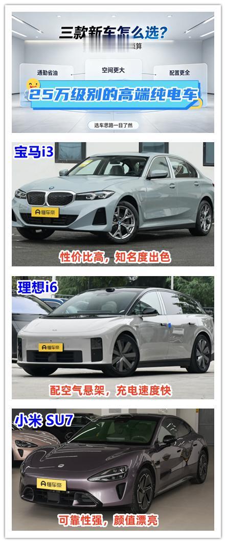 25万级别的高端纯电车该如何选择呢？在纯电市场，每一种车型都有着自己的造车理念，