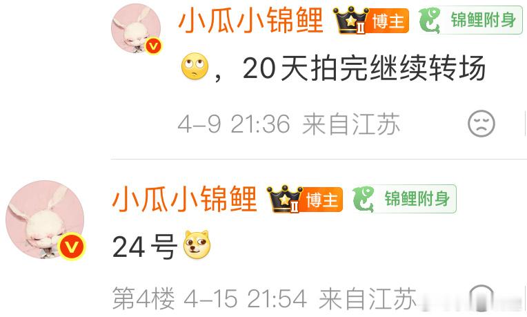 玉兰24转场上海 