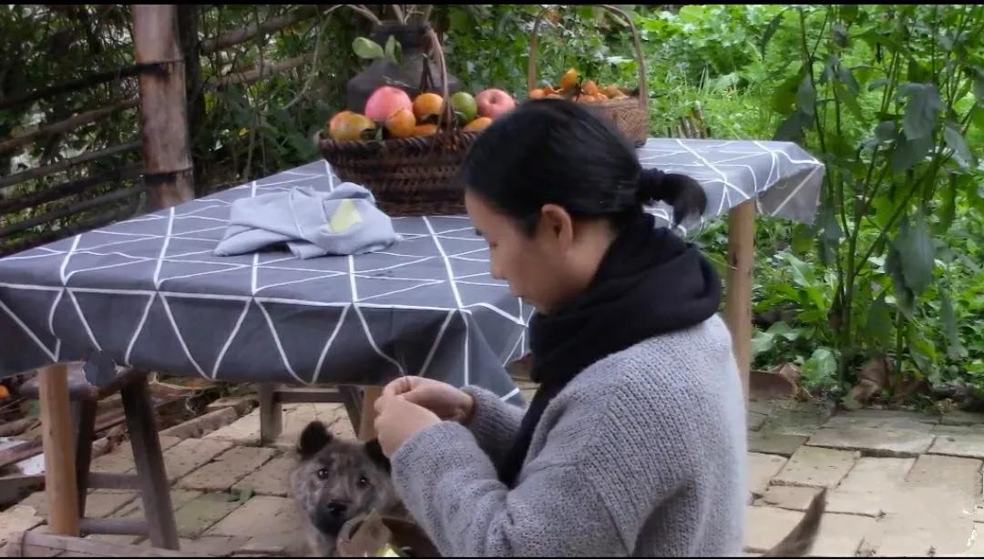 山居7年有感：幸福是什么？

幸福就是吃烤薯时心里只有烤薯。

山居的最初两年，