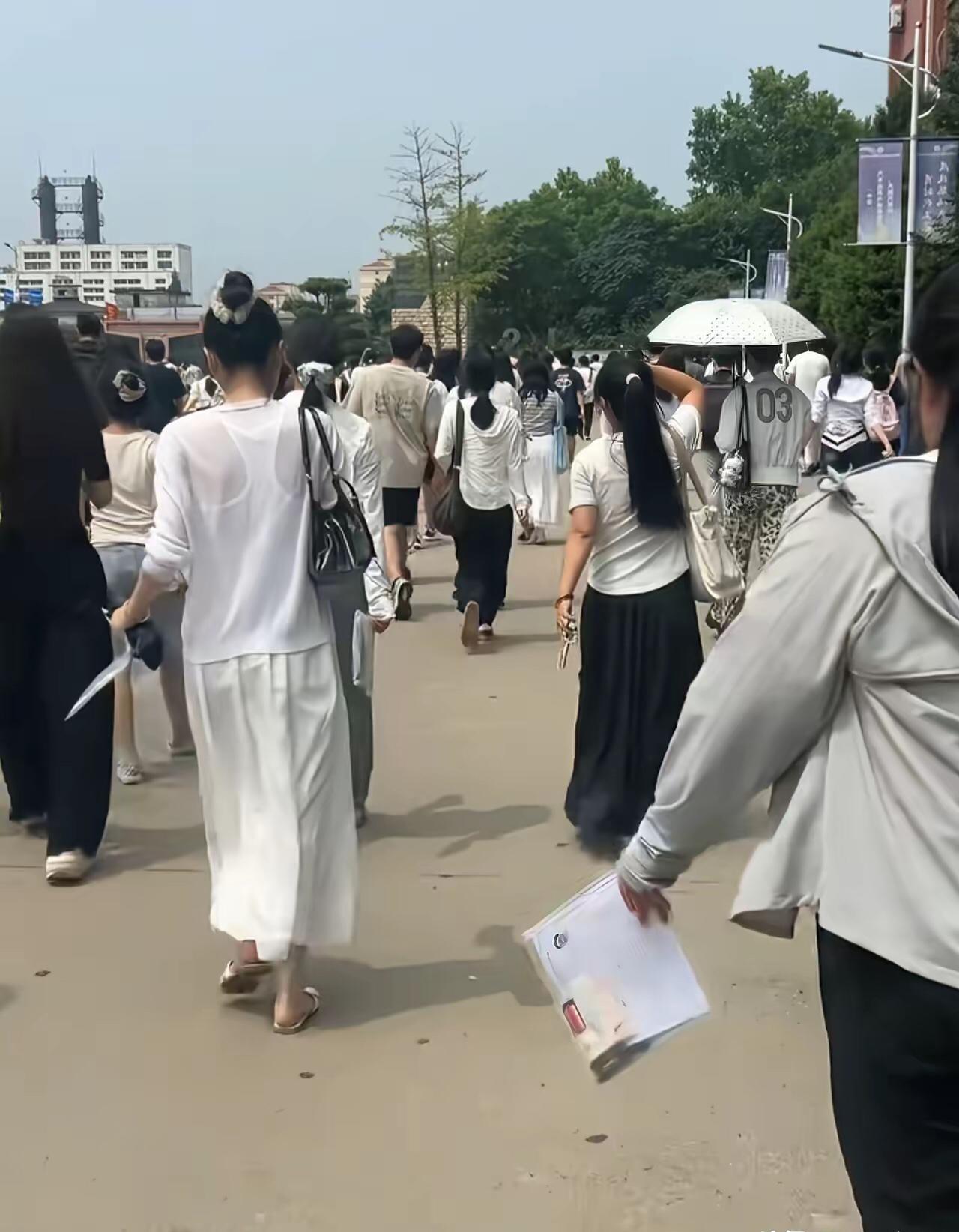 河南考试院系统查出大规模作弊！高分精准卡点招录名额，负责人被停职！近期全网热议的