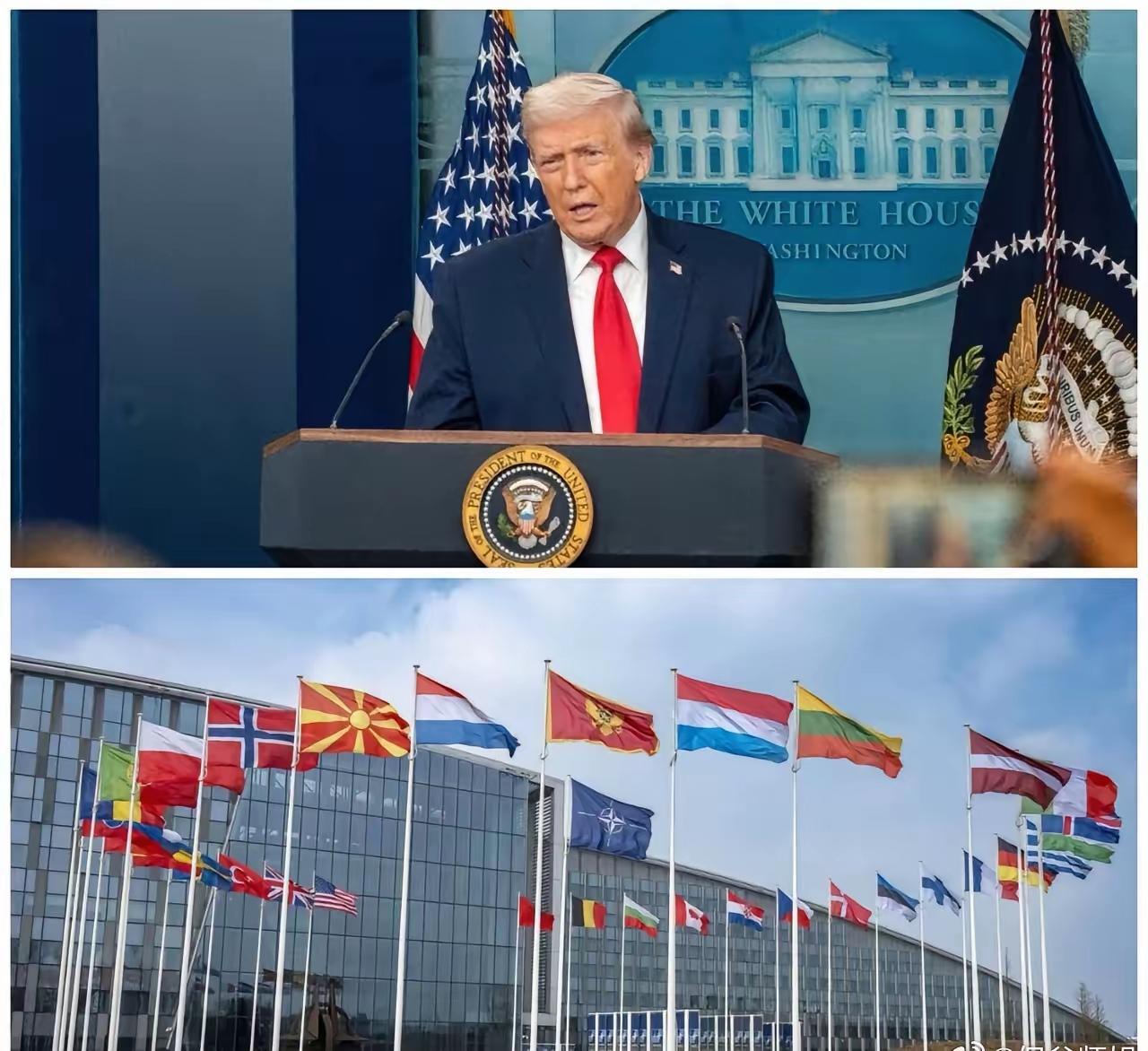 美国与欧洲国家，因为美国帮助打架成为盟友。因为欧洲国家不不帮助美国打架，可能会闹