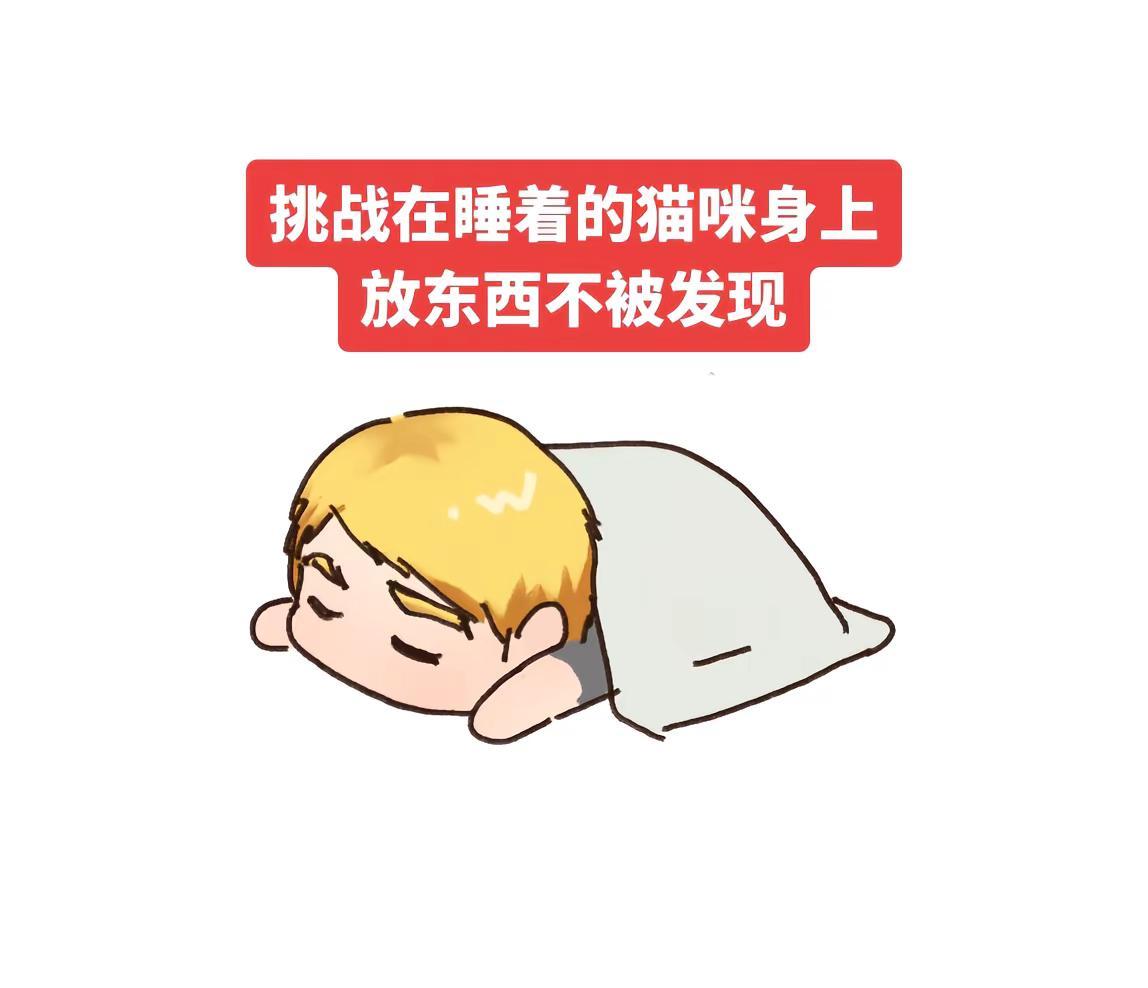 他好像没有发现。日常瞎画 福华