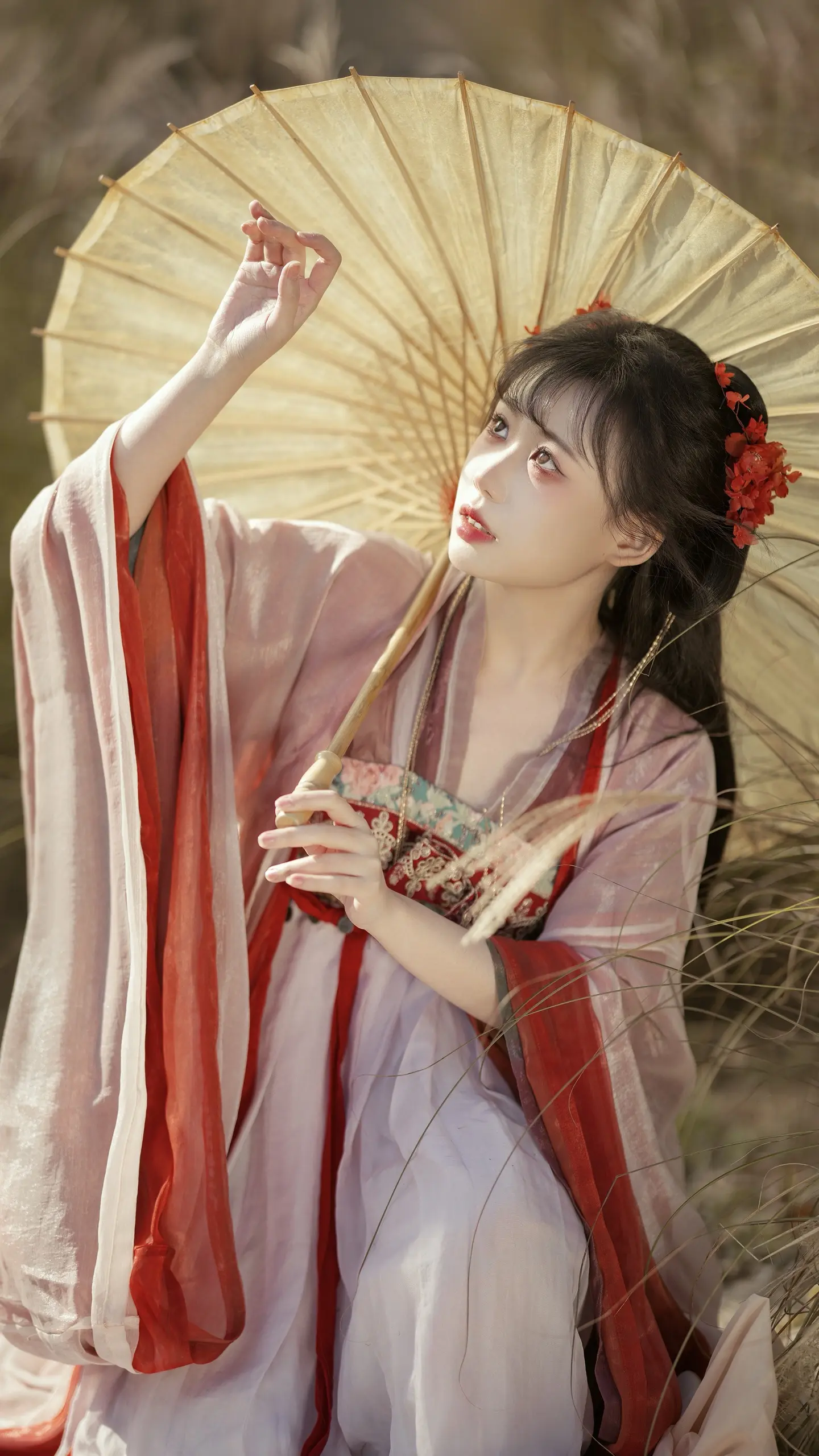 “山河远阔…”。又是一年秋，芦苇可以拍起来了 秋