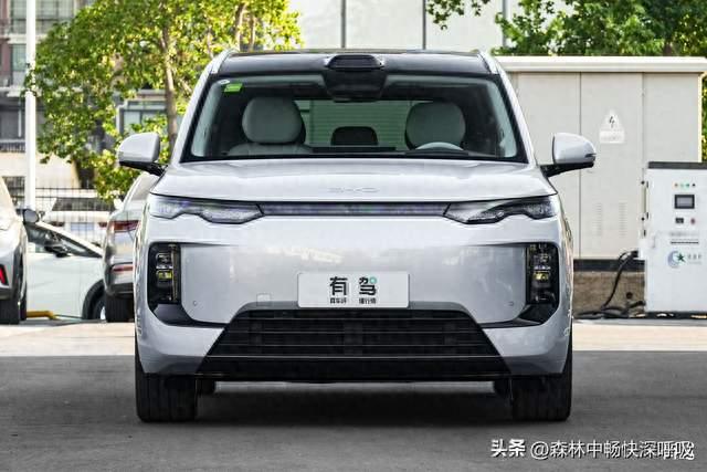 王阳新座驾比亚迪海狮08，五大旗舰实力解析