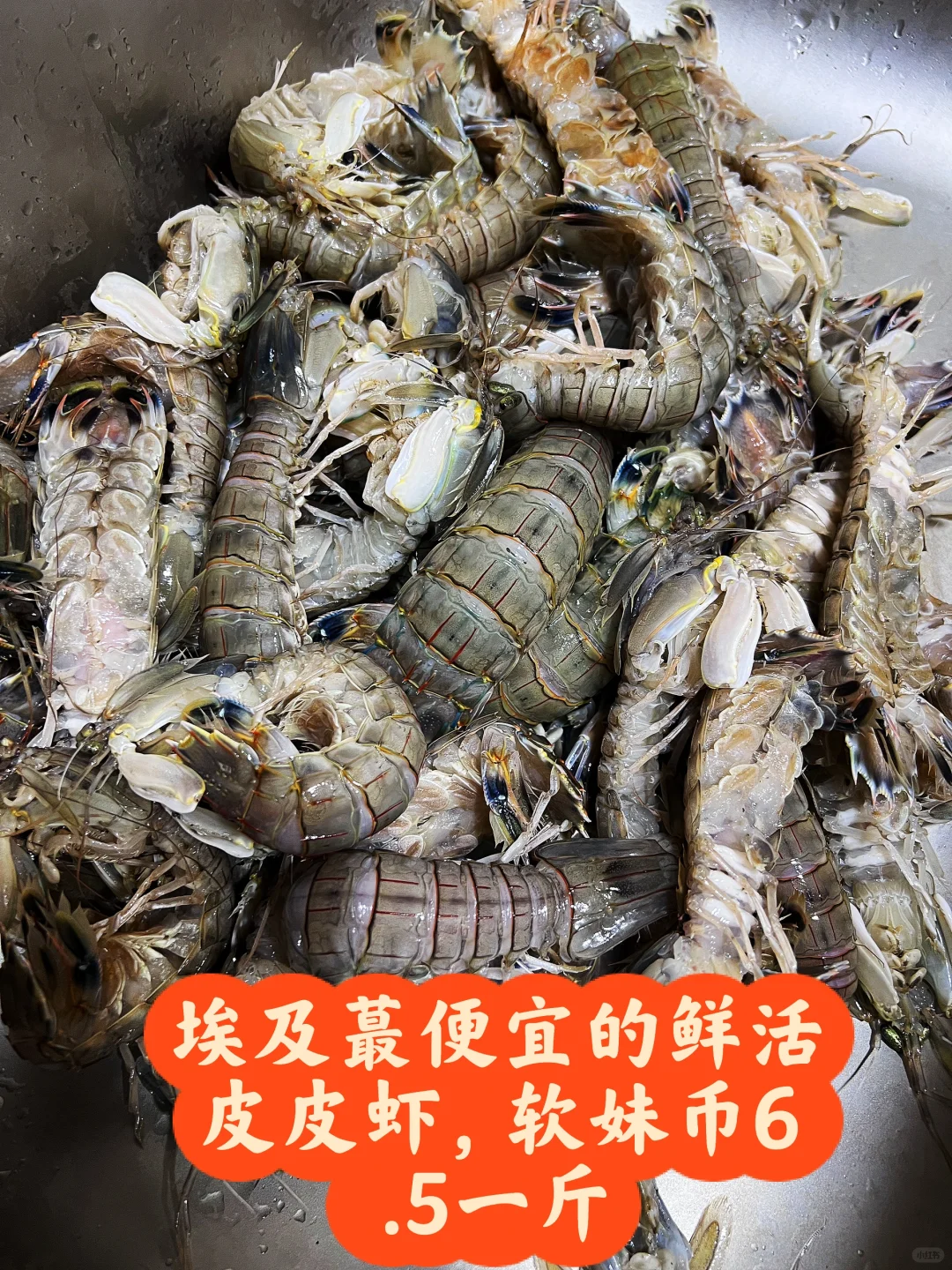 海鲜自由，那么就来埃及塞得港吧，内付价格表