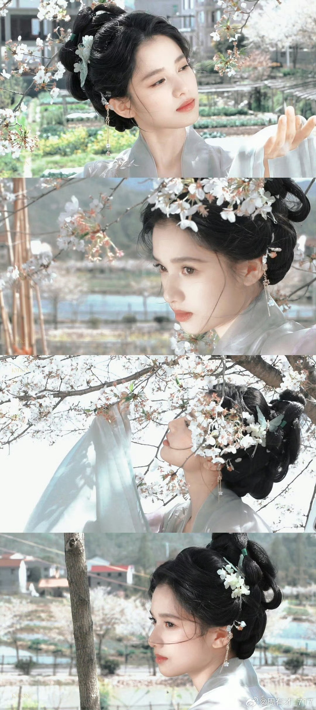 【张婧仪】俏丽若三春之桃  ·张婧仪回复 ​​​