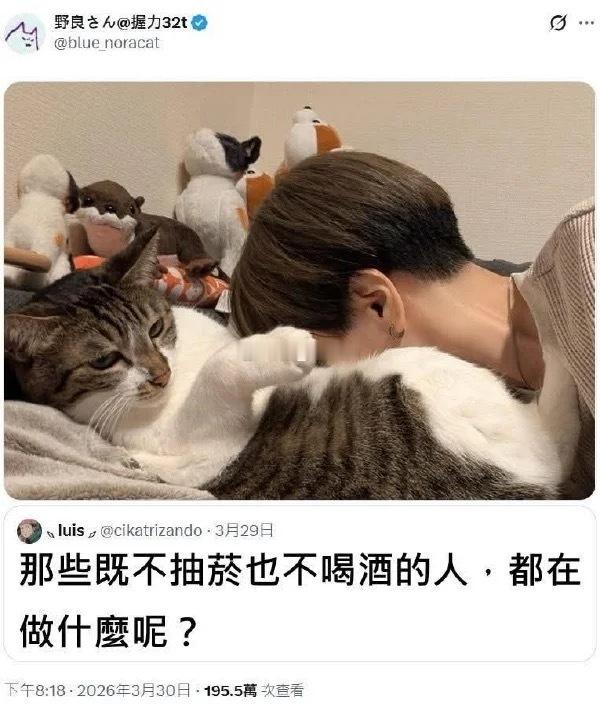 我每天晚上都要对我家咪做这个动作 