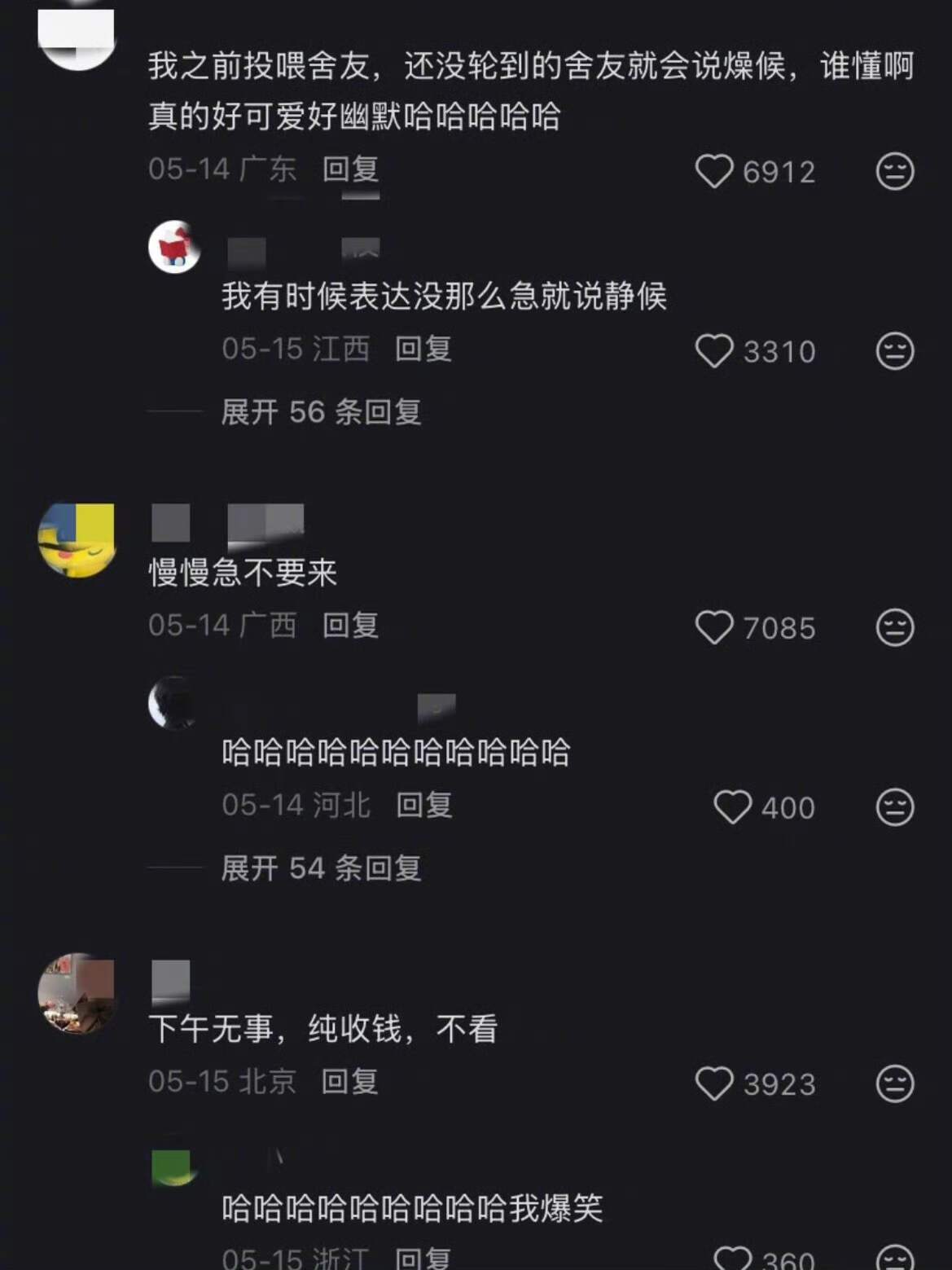 这届网友还是太有梗了哈哈哈 