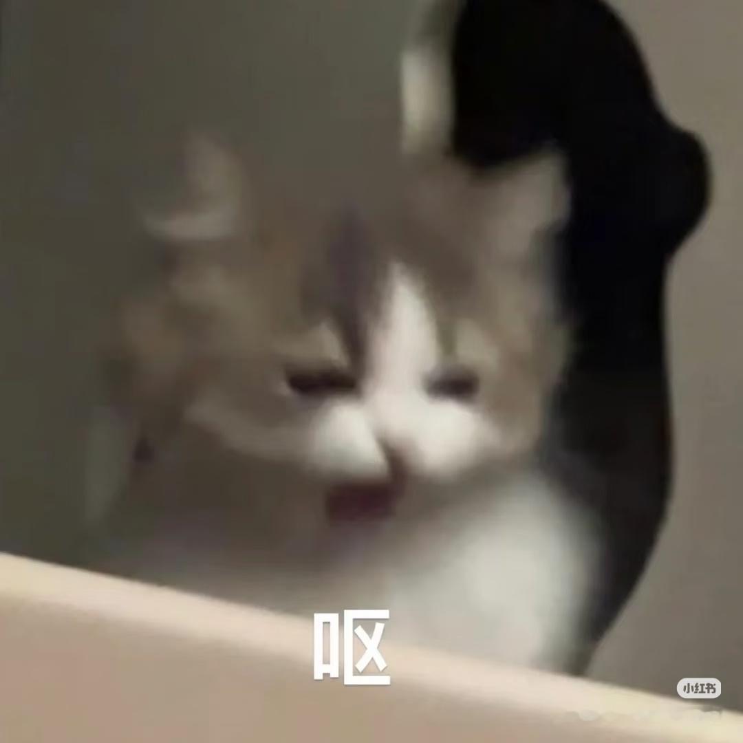 前有GLM深入分析违建尿液，后有GLM将违建小卡放入内裤，额。。违建有没有想要报