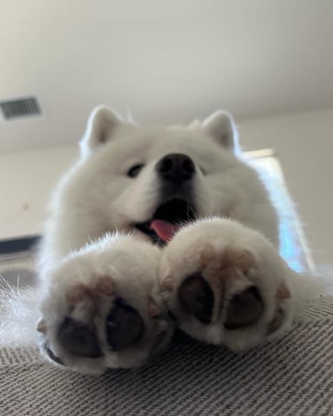 看我的小山竹！ ​​​