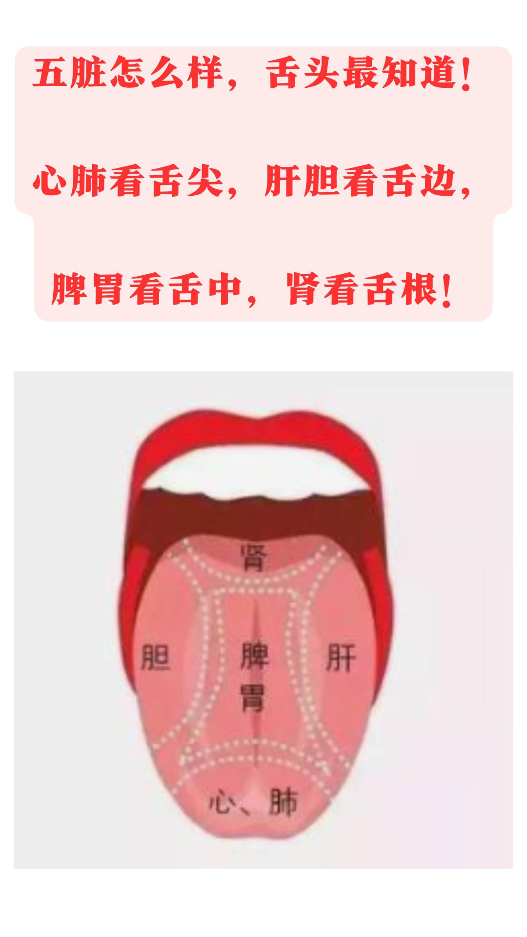 五脏怎么样，舌头最知道！心肺看舌尖，肝胆看舌边，脾胃看舌中，肾看舌根！#中医##
