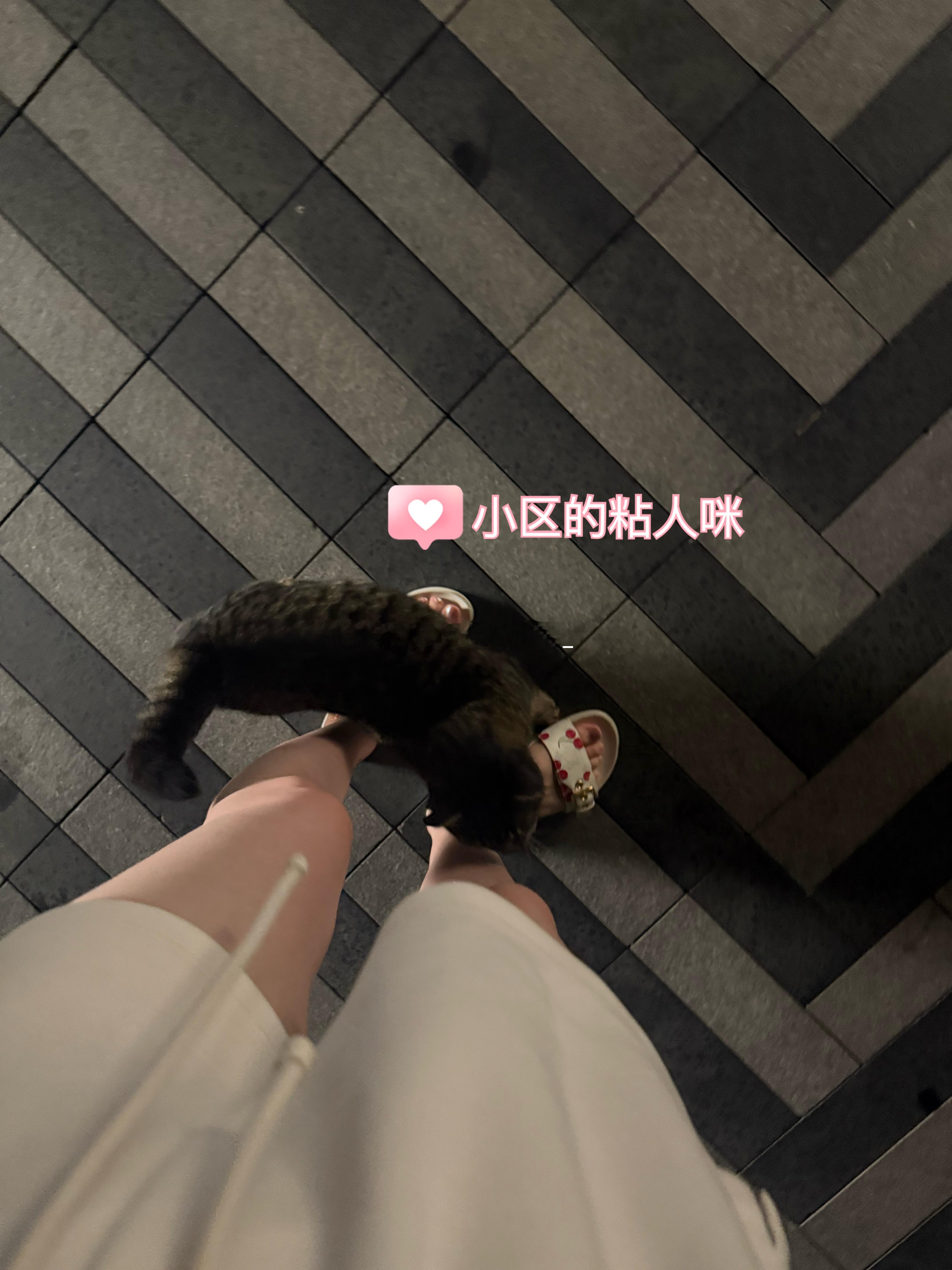 🏠怎样都会幸福 因为我就是那种会让自己幸福的人 ​​​